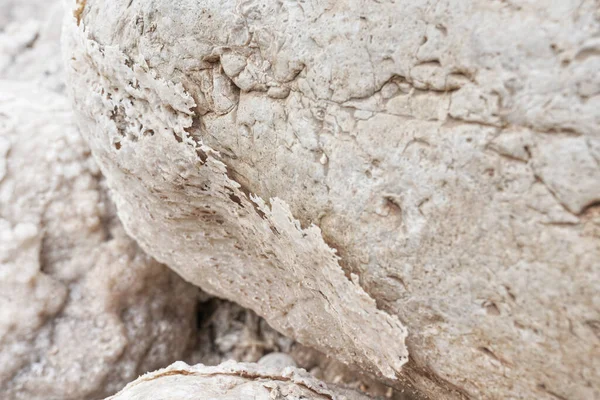 Písek Kameny Pokryté Krystalickou Solnou Krustou Břehu Mrtvého Moře Detailní — Stock fotografie