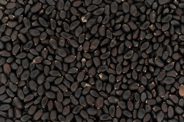 Koyu tukmaria veya Thai fesleğeni - Ocimum bazilika - mikroskop altında tohumlar, görüntü genişliği 23 mm