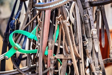 Ahırların yanında bir sürü deri at dizginleri asılı..