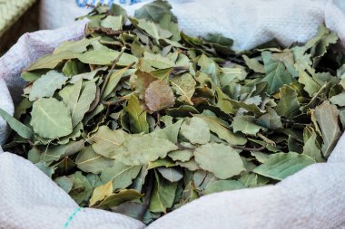 Kurumuş defne yaprakları Fas 'taki sokak pazarında sergileniyor.