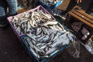 Marakeş, Fas 'taki geleneksel sokak pazarında buzlu balıklar sergileniyor.