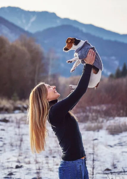 Молодая Женщина Теплом Джампере Держит Маленького Джека Рассела Терьера Собака — стоковое фото