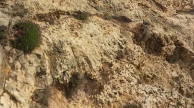 Okyanus kıyısındaki keskin kayaların üzerinde yürümek, arka planda sakin deniz.