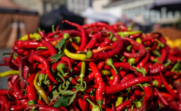 Sun Shines Pile Twisted Long Red Hot Peppers Display Street — Stock Photo, Image
