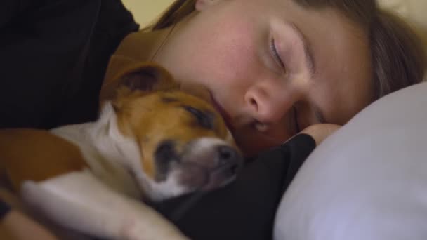 Wanita Muda Tidur Dengan Anjing Kecil Memeluknya Dekat Detail Kepala — Stok Video