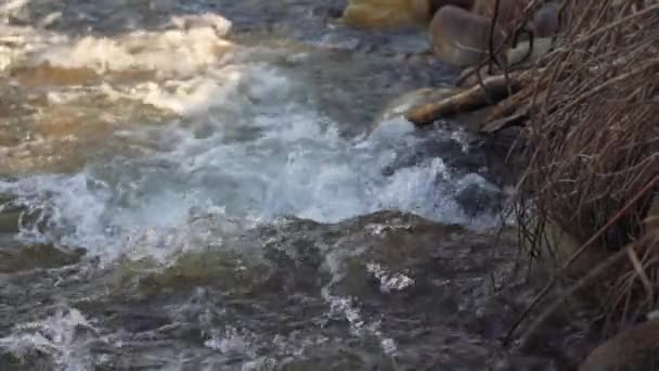 Řeka Tekoucí Přes Skály Slunečného Dne Detail Zblízka Rychlá Bílá — Stock video