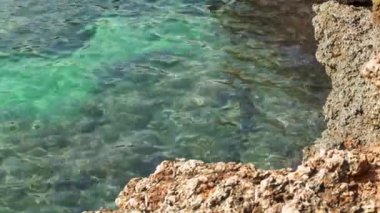 Sakin yeşil deniz suyu kayalık sahil kenarında, yukarıdan görünüyor.