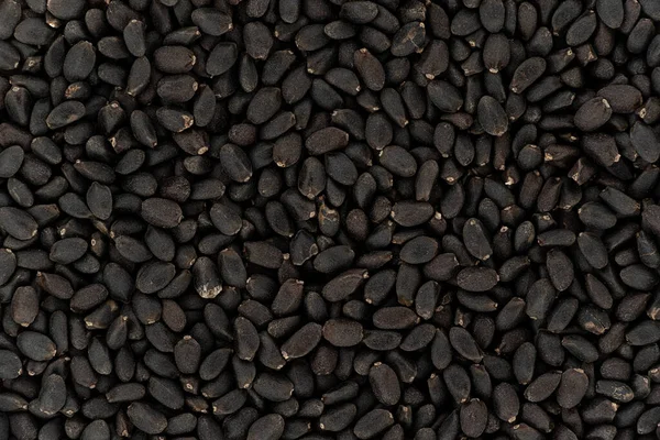暗色块茎或塔伊罗勒 奥西莫巴硅 显微镜下的种子 图像宽度23毫米 — 图库照片