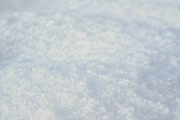 Sun Shines Ground Covered Snow Closeup Macro Detail — Stock Photo, Image