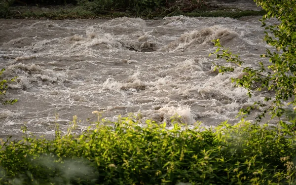 Грязная Вода Наводнения Быстро Течет Реке Куски Деревьев Заднем Плане — стоковое фото