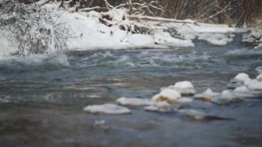 Orman yakınlarındaki kış nehri - su üzerinde yüzen kar kristalleri ve buzla kaplı yüzey - yakın çekim ayrıntıları