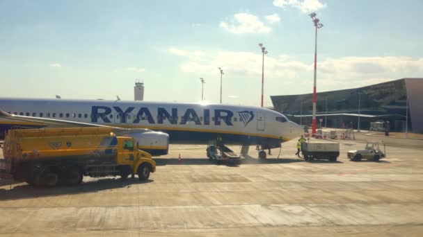 Eilat Izrael Stycznia 2020 Personel Naziemny Przygotowujący Samoloty Ryanair Lotu — Wideo stockowe