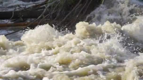 Smutsigt Översvämningsvatten Som Rinner Snabbt Floden Bitar Träd Bakgrunden Nära — Stockvideo
