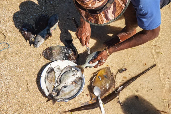Pescarul Local Malagasy Curăță Peștii Proaspăt Prinși Plajă Detalii Mâini — Fotografie, imagine de stoc
