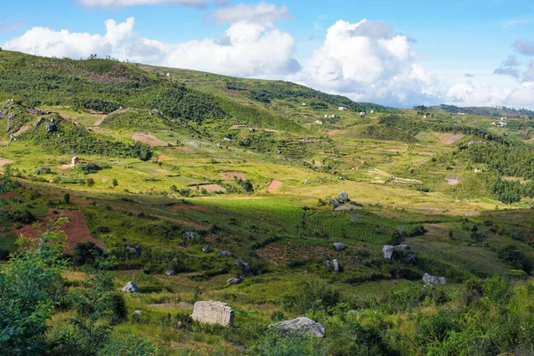 Typisk Madagaskar Landskap Grönt Och Gult Ris Terrassfält Små Kullar — Stockfoto