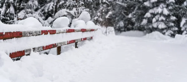 Red White Painted Metal Safety Fence Side Snow Covered Forest — Stock Photo, Image