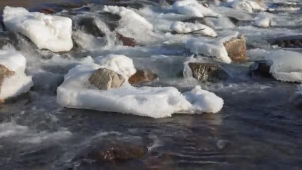 Río Invierno Que Fluye Cerca Nieve Hielo Cubierto Piedras — Vídeo de stock