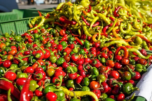 Sol Brilha Sobre Pimentas Cereja Quentes Verdes Vermelhas Exibidas Mercado — Fotografia de Stock
