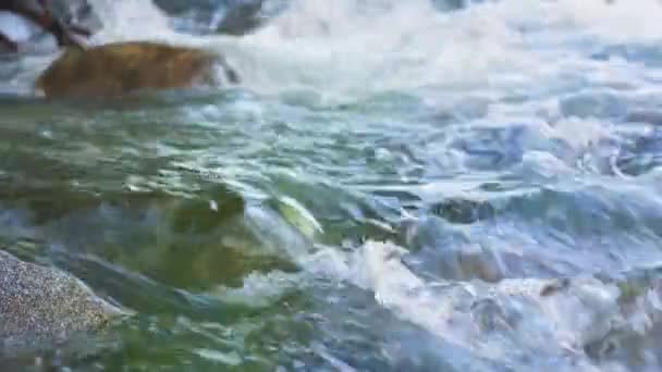 Fluss Fließt Über Felsen Detailaufnahmen Aus Nächster Nähe Schnelles Grünes — Stockvideo