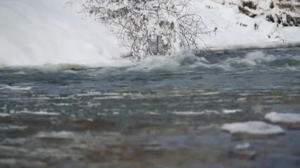 Fiume Invernale Vicino Alla Foresta Superficie Con Cristalli Neve Ghiaccio — Video Stock