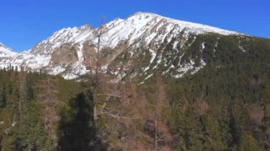 Slovakya 'daki kış manzarası - Tatras dağlarında Patria zirvesi olan uzun kozalaklı ağaçlar - kayak asansöründen yükselen manzara