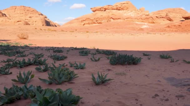 Rocky Formations Wadi Rum Desert Bright Sun Shines Red Dust — Vídeo de Stock