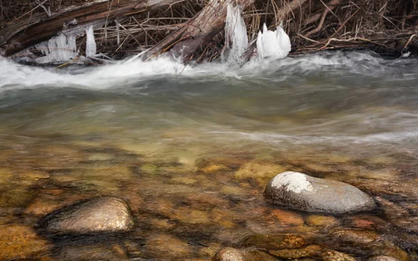 Rio Inverno Água Fluindo Sob Árvores Cobertas Gelo Foto Baixo — Fotografia de Stock