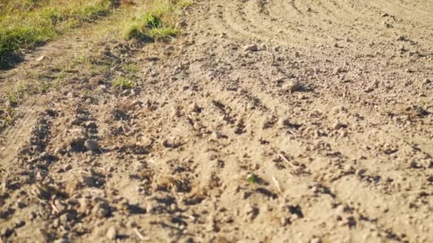 阳光照在干枯的田野上 特写特写 一些青草背景 照相机缓缓滑行 — 图库视频影像