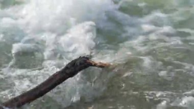 Kayaların üzerinden akan nehir, detayları kapat, hızlı beyaz su düşen ağaç dalını hareket ettiriyor.