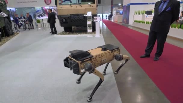 2021年10月8日 捷克布尔诺 由Rheinmetall在Idet 21Defence Fair Presentation期间自主地在大厅里行走的机器人犬 — 图库视频影像