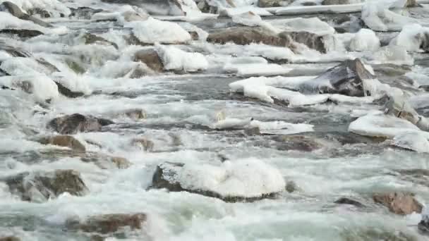 Зимняя Река Текущая Рядом Покрытыми Снегом Льдом Камнями Деталь Крупного — стоковое видео