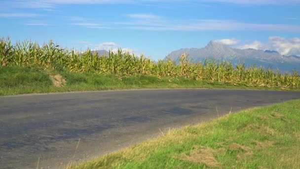 Empty Countryside Asphalt Road Corn Field Background Mount Krivan Peak — Stock Video