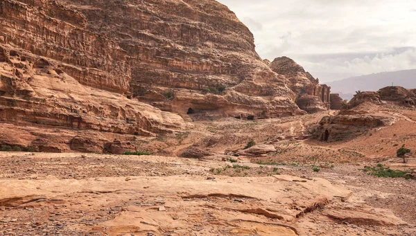 Typical Landscape Petra Jordan Red Dusty Ground Small Green Plants — Stock Photo, Image