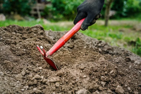 手头上戴黑色工作手套 在花园里用小红稻草锄头挖洞种苗的详情 — 图库照片