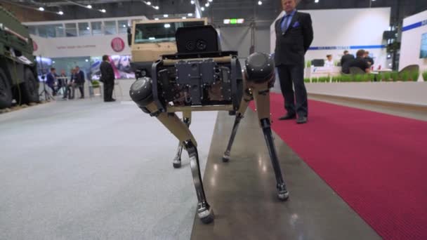 ブルノ チェコ 2021年10月8日 ラインメタル製のロボット犬がアイデト21Defenceフェアプレゼンテーション中にホールで自律的に歩く — ストック動画