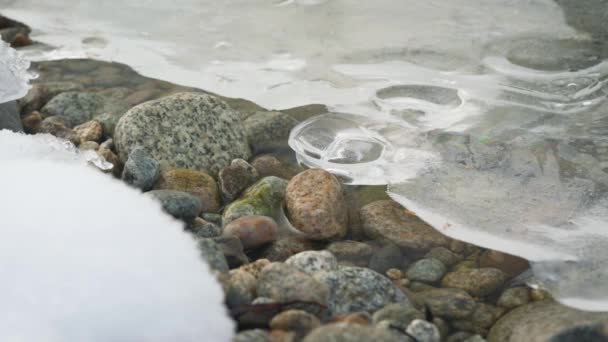 Gelo Fino Cobrindo Costa Rochosa Rio Água Fluindo Sob Pedras — Vídeo de Stock