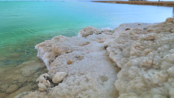 死海沿岸の結晶塩で覆われた砂 近くのターコイズブルーの水 イスラエルのEin Bokekビーチの典型的な風景 — ストック動画