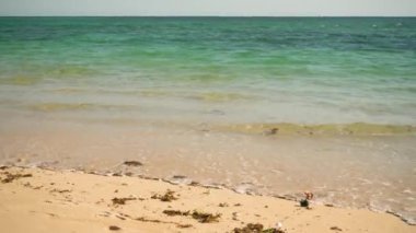 Kumsalda kumları yıkayan küçük deniz dalgaları ve bazı deniz kabukları...