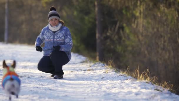 Młoda Kobieta Zimowej Kurtce Pokrytej Śniegiem Drodze Dzwoniąc Jacka Russella — Wideo stockowe