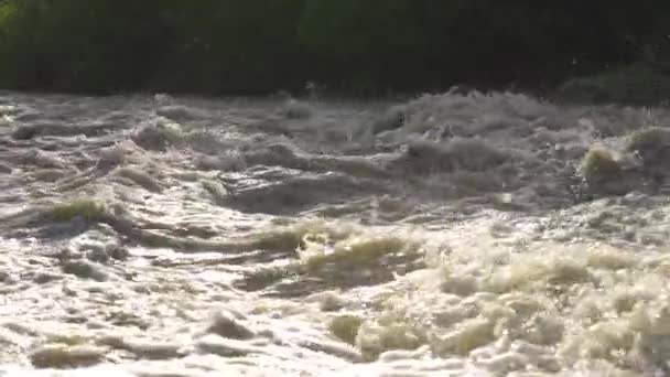 Água Inundação Suja Fluindo Rapidamente Rio Close Detalhe Abstrato Vídeo — Vídeo de Stock