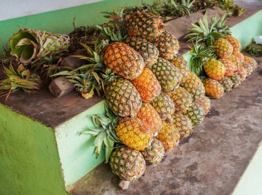 Madagaskar 'daki sokak pazarında sergilenen taze ananas yığını