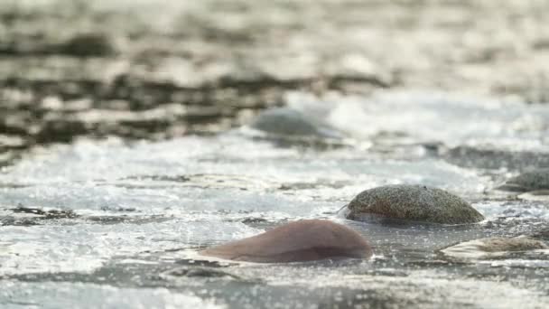 Eis Auf Gefrorenem Fluss Steine Makrodetails Nahaufnahme Wasser Fließt Hintergrund — Stockvideo