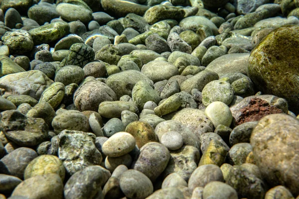 Yeşil yosunlarla kaplı küçük yuvarlak taşlar ya da çakıl taşları, yakın çekim sualtı fotoğrafı.