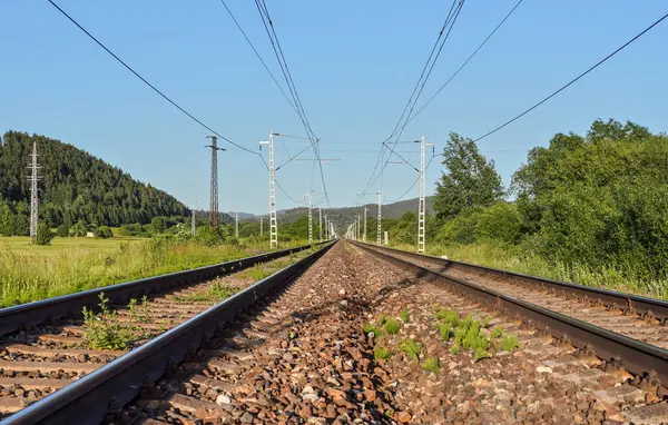 Railroad Tracks Some Plants Growing Ties Low Angle View Blurred — Stock Photo, Image
