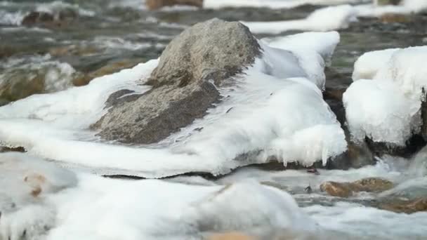Zimowa Rzeka Płynąca Pobliżu Śniegu Pokrytych Lodem Kamieni Aparat Przesuwa — Wideo stockowe