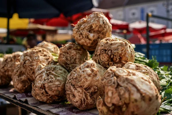 Celeriac or turnip-rooted celery roots displayed on street vegetables market.
