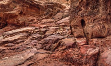 Pürüzsüz kırmızı taşları olan kayalık duvar, birkaç yeşil bitki ve çalılar - tipik Petra, Ürdün manzarası