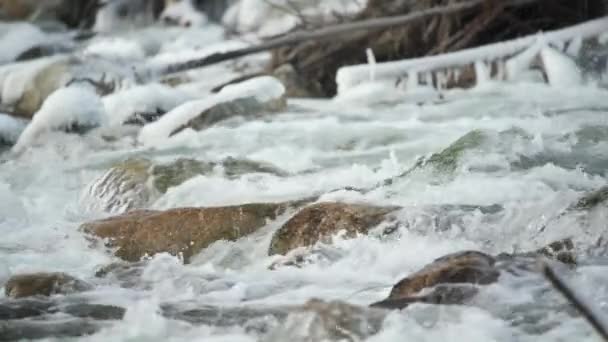Zimní Řeka Tekoucí Blízkosti Sněhu Ledu Pokryté Kameny Zpomalené Video — Stock video