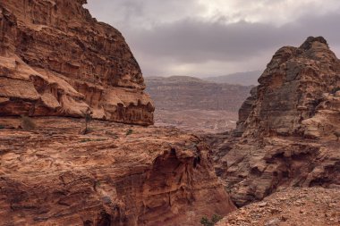 Petra, Ürdün 'deki tipik manzara, dar kanyonun etrafındaki kayalık duvarlar, kırmızı tozlu topraklarda büyüyen birkaç küçük çalı.