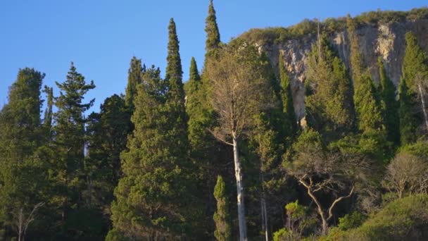 崖の近くで成長する高収縮性とサイプレスツリー コルフギリシャのルピアデス湾からの眺め カメラパン — ストック動画